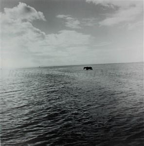 Image description is not available for 2014.066